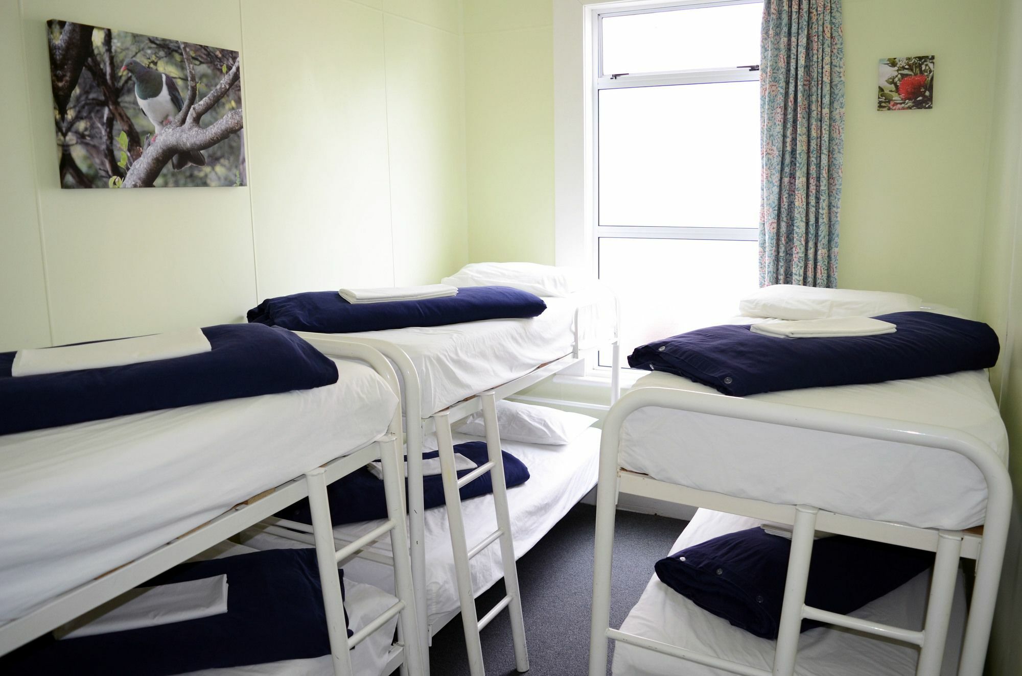 Braemar House B&B And Yha Hostel Whanganui Exteriör bild